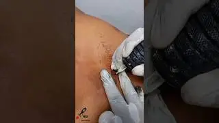 Crown Tattoo💫 @NeoTattoosMadurai001 #neotattoosmadurai #neoblackworld #maduraitattooartist #tattoo