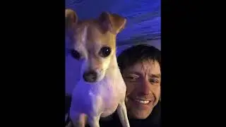 In memory of Sean the best dog parent to Texas ❤️ love, your sister.