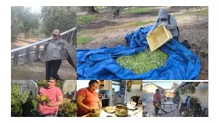 un día con Oralia en limpieza en el jardín, cocina y trabajo