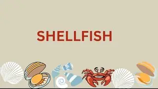 Shellfish | Shellfish Names in English