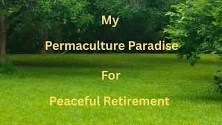 My Permaculture Paradise For Peaceful Retirement ☺️💚