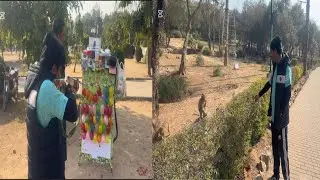 Islamabad damani ko Park 🐒