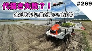 代掻き失敗？！　土が硬すぎて苗が浮いてます笑