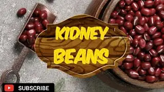 Incredible Health Benefits Of Kidney Beans That We Should Know About 😲