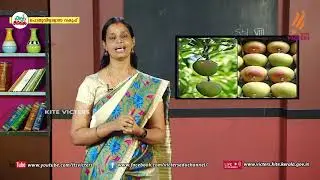 KITE VICTERS STD 08 Biology Class 15 (First Bell-ഫസ്റ്റ് ബെല്‍)