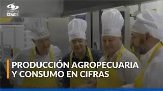 Seguridad alimentaria en Colombia: datos del agro y el consumo nacional