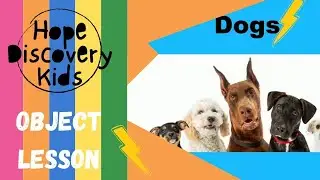 How to help kids choose positive behaviours | Object Lesson