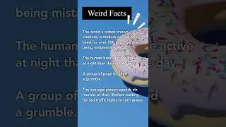 Weird and Fun Facts You Didn&rsquo;t Know