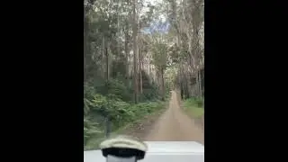 4WDing in Nana Glen