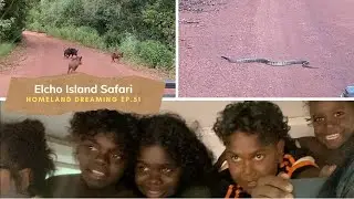 Elcho Island Safari | Homeland Dreaming Ep. 51