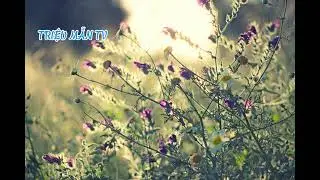 GIỌT NƯỚC MẮT & TRIỆU MẪN TV S&Aacute;NG T&Aacute;C TẶNG KH&Aacute;N GIẢ TH&Acirc;N Y&Ecirc;U NGHE NHẠC THƯỞNG THỨC Ạ 