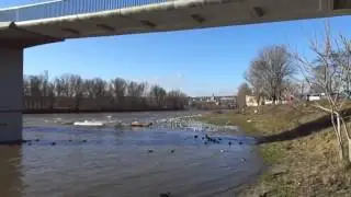 CyberShot DSC W730 - Video test