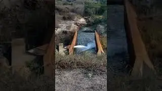 PERENIZA&Ccedil;&Atilde;O DO RIO SALINAS | SALINAS MG #shorts