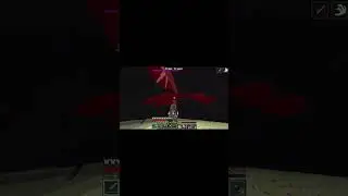 Flechadaaaaa no ender dragon aaaaa #minecraft #gaming #clips