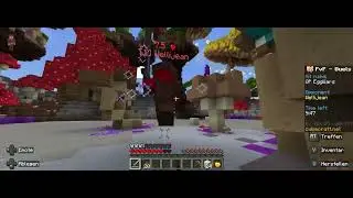 PVP 1 (VP)