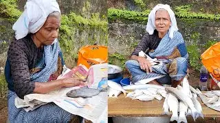 വാ മക്കളേ വാ. നല്ല കായല് മീന്‍ തരാം. 200 രൂപക്ക് വേണ്ടി ജമീല ഉമ്മയുടെ മീന്‍ കച്ചവടം
