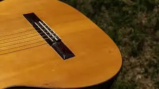 Alfredo Velazquez