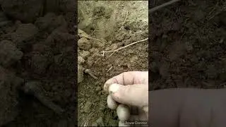 69 caliber Civil War bullet!!!