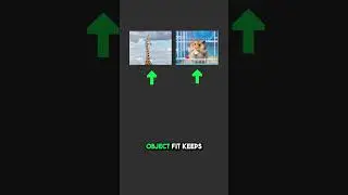 Hidden Elementor Image Setting That Fixes Height Issues