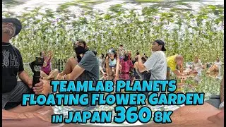 Virtual Walk Insta360 X4 TeamLab Planets Floating Flower Garden | Orchids | Places to See in Japan