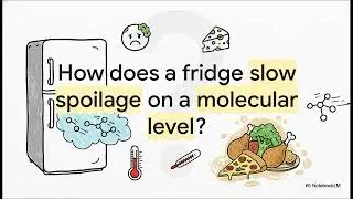 Kinetic for 4th chemistry stem 