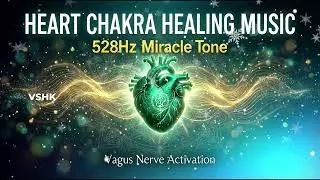 Heart Chakra Healing Music | 528Hz Miracle Tone | Vagus Nerve Activation