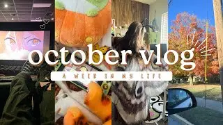 october vlog 🎃 fall decor, job interview, mental health, unboxing, & more ࿔*:･༄˖&deg;.🍂