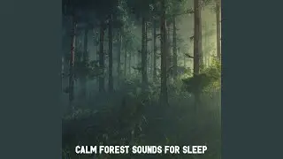 Gentle Forest Sounds