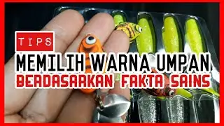 Tips Memilih Warna Umpan Berdasarkan Teori Sains - #26