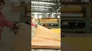 INDONESIAN BLOCKBOARD MERANTI, CORE FALCATA BLOCKBOARD Plywood  Polyester Manufacturer CHINA