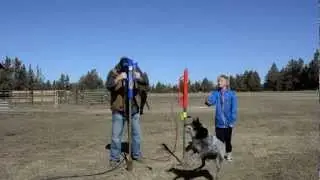 Man Saver Post Driver Duels - Dad vs Son