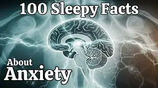 Why the Brain Creates Anxiety | Science For Sleep