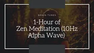 Brain Waves -1Hour of  Relaxed Awareness, Super Brian,Zen Meditation,10Hz Alpha Wave