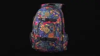 Hyped Sports - Dakine Mission Skate and Snow Pack 8100610