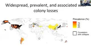 Antiparasitic Effects of Three Floral Volatiles on Trypanosomatid Infection in Honey Bees