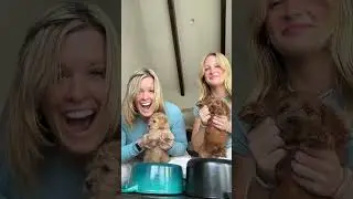 I love puppies!!! 🐶🐾