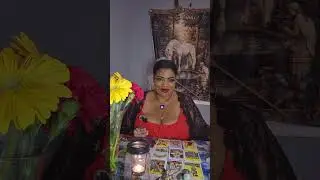 collective - you may regret the hustle if you keep going nonstop. #selfcare #tarot #oraclereading