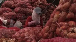 سوق الهال الدمشقي يوحد محافظات فرقتها الحرب