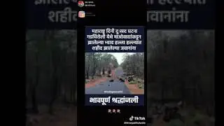 Gadchiroli bomb blast 1 may 2019