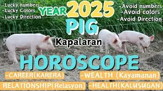 PIG 🐷Kapalaran 2025 Horoscope, Wealth, Health, Career, Relationship, Lucky, Chinese Horoscope