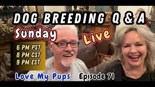 Love My Pups live sun Jan 11