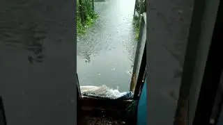 Сильный дождь