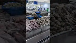 Largest fish market in UAE #dubai #uae #fish #market #explore #adventure #travel #ramadan #shorts