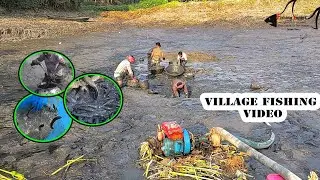 বড় শোল গজার আর শিং মাগুর মাছ ধরতে গিয়ে নাজেহাল অবস্থা জেলের |viral fishing video 2024#fishing_expert