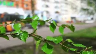 2014 при красивый город нерюнгри 2014 ххх камеди прикол ржачь пор
