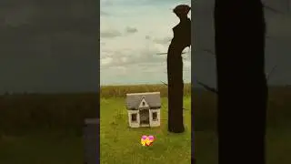 the boiled one edit