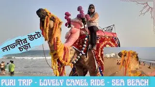 Beautiful First Time Camel Ride I লাভলীর উটে চড়া #camelride #vlog #fun #seabeach #puribeach