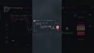 btc insight