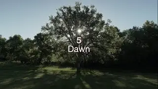 Dawn : Relocation and Occupation - Episode 5 trailer