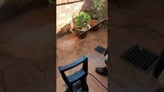 strange noise from my gerni 5000. I've just noticed the same noise coming from my neighbour's washer